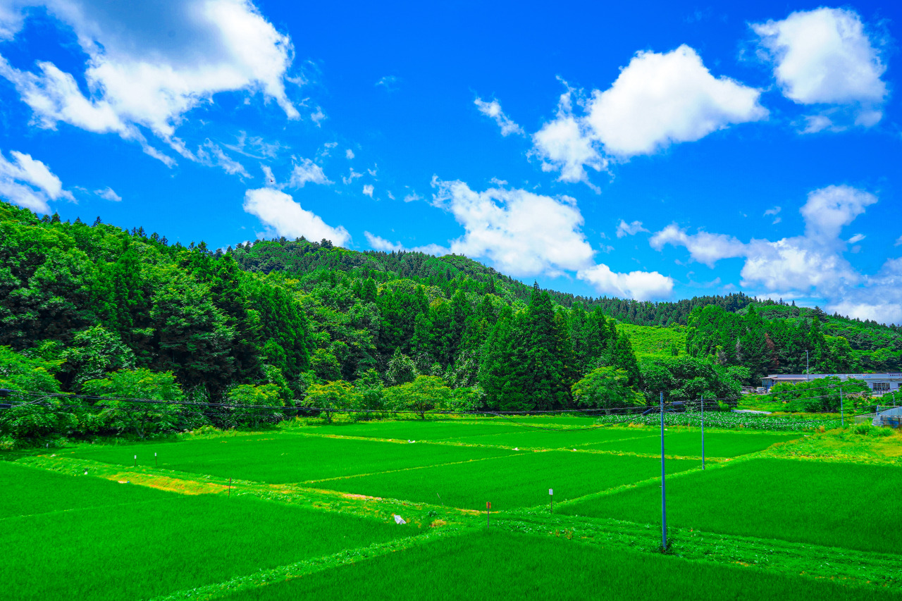 ちょうど良い、田舎まちライフができる