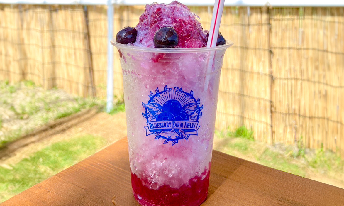 【開催レポート】移住先輩の観光ブルーベリー園で就農体験!