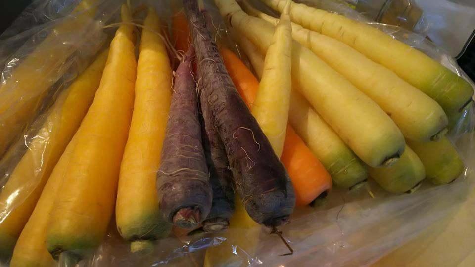 武藤さんが育てた雪下人参