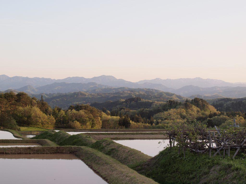 矢部さんの自宅から見える風景。棚田や山並みが広がっている