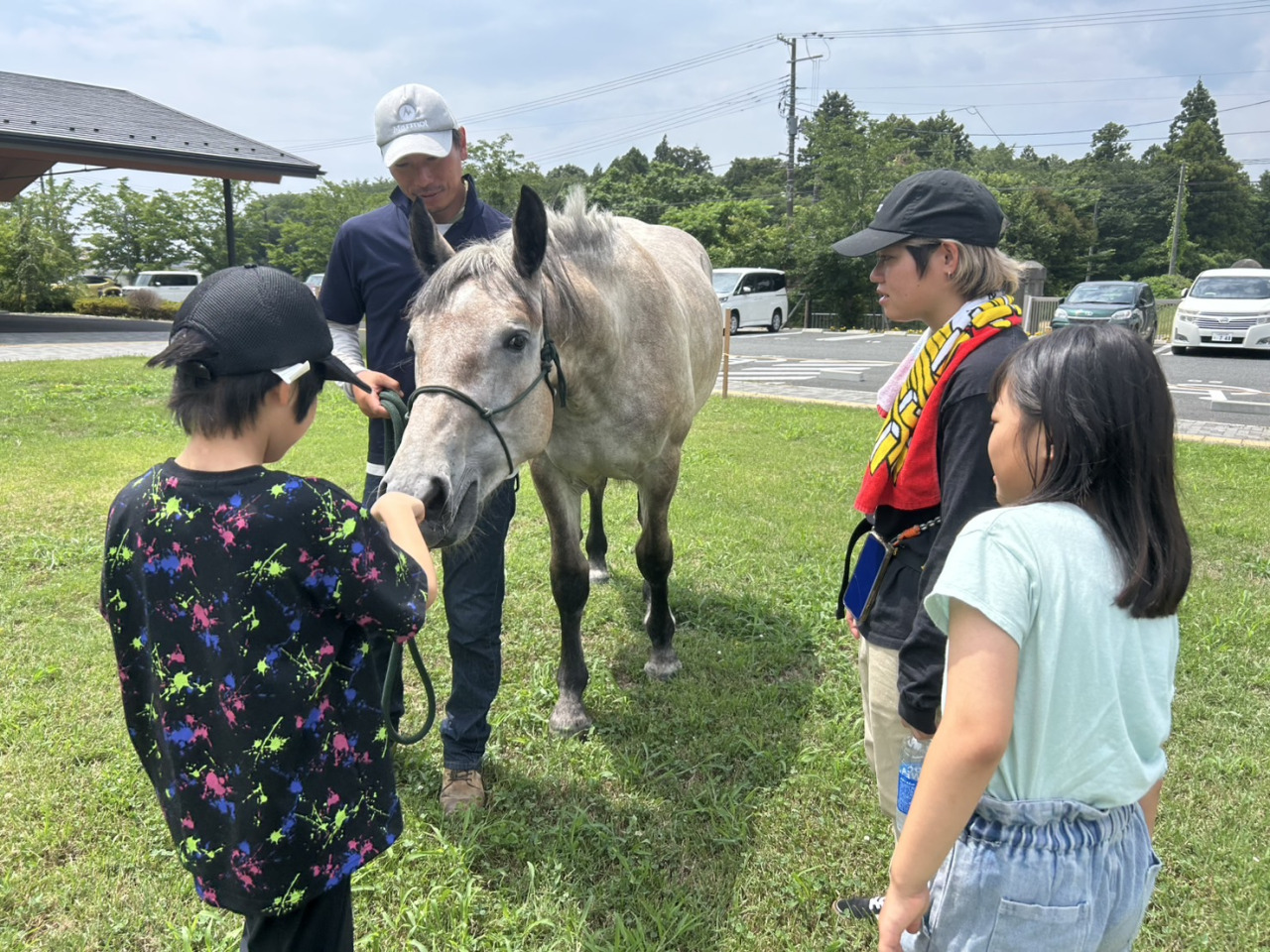 ポニーと触れ合うホースセラピーではブラッシングやエサやりを体験