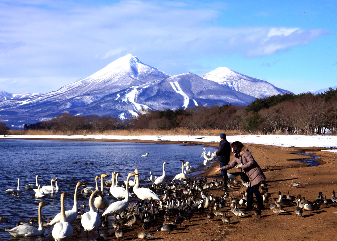 冬の猪苗代湖と磐梯山