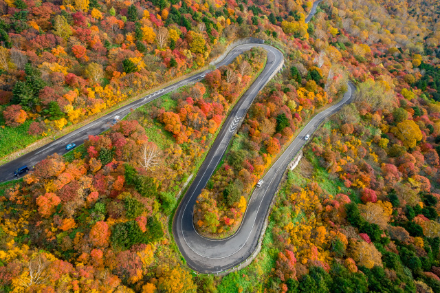 [ Undefined: spot-title-plain ]