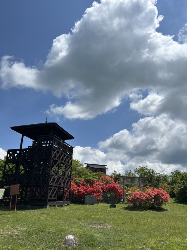 [ Undefined: spot-title-plain ]