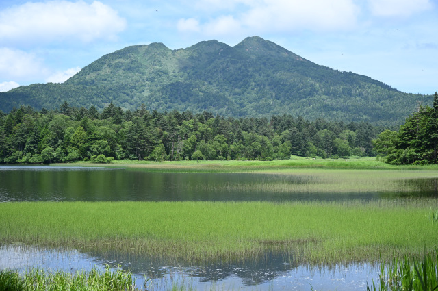 [ Undefined: spot-title-plain ]