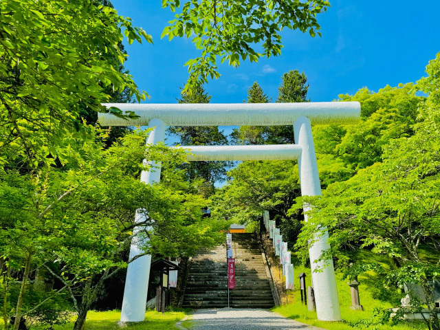 [ Undefined: spot-title-plain ]