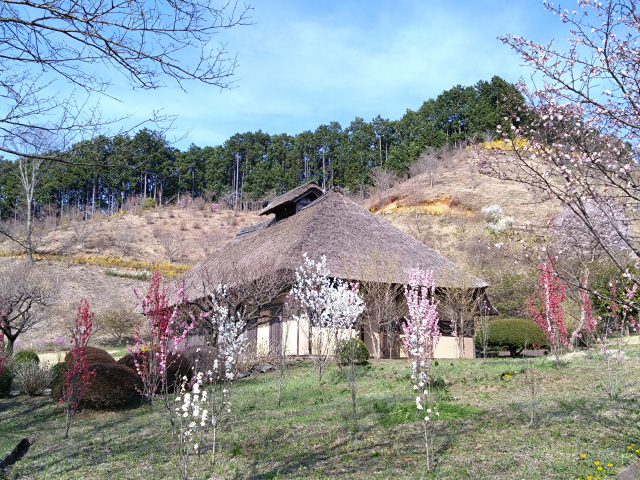 [ Undefined: spot-title-plain ]