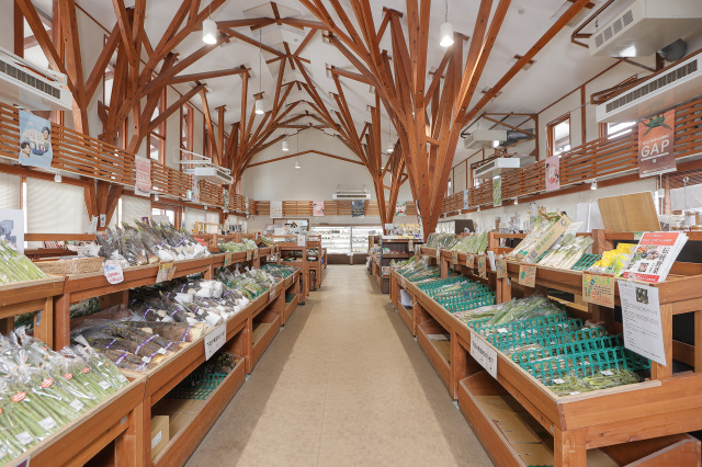 [ Undefined: spot-title-plain ]