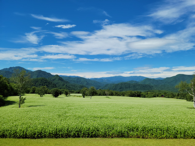 [ Undefined: spot-title-plain ]