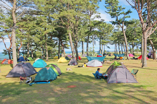 [ Undefined: spot-title-plain ]