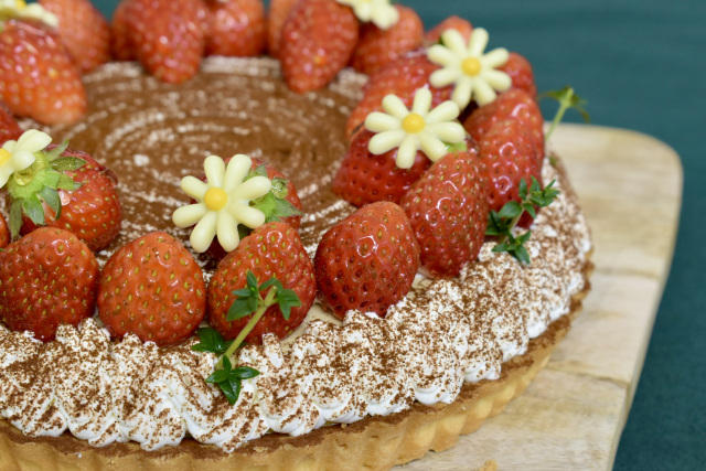 [ Undefined: spot-title-plain ]