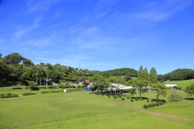 [ Undefined: spot-title-plain ]