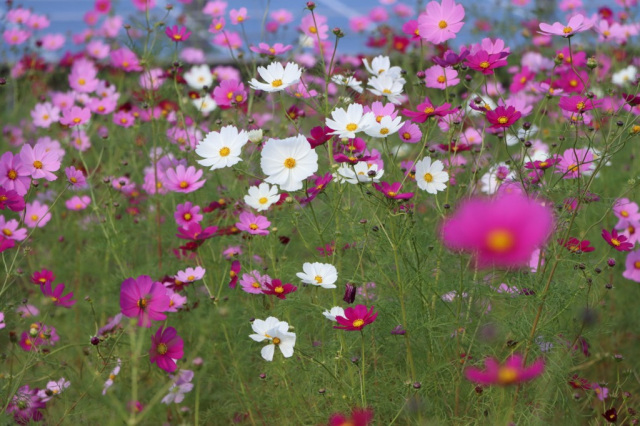 [ Undefined: spot-title-plain ]