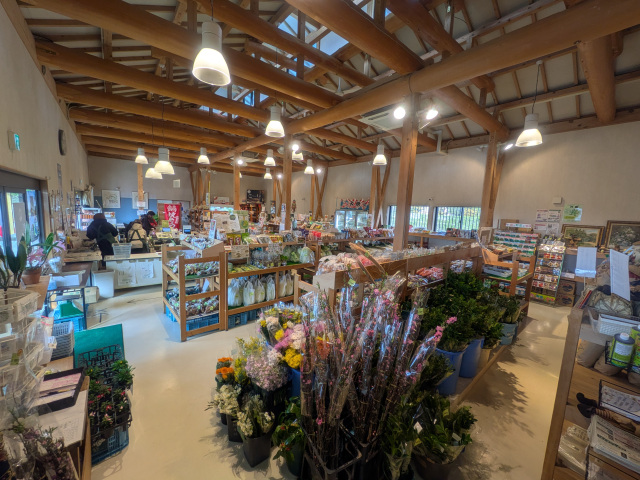 [ Undefined: spot-title-plain ]