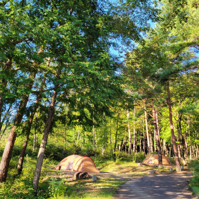 [ Undefined: spot-title-plain ]