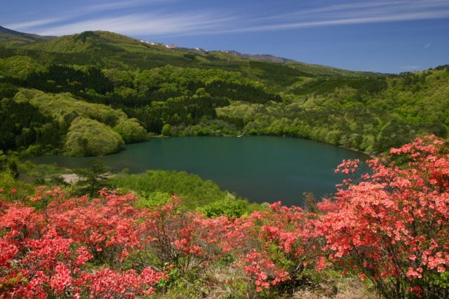 [ Undefined: spot-title-plain ]