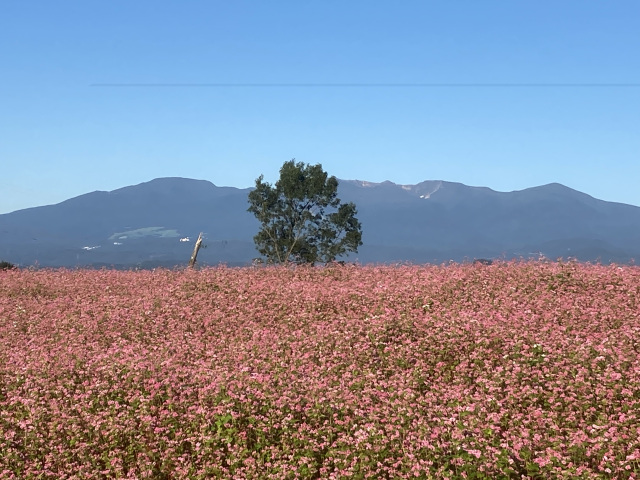 [ Undefined: spot-title-plain ]