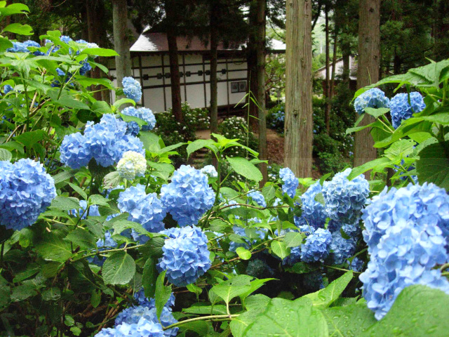 [ Undefined: spot-title-plain ]