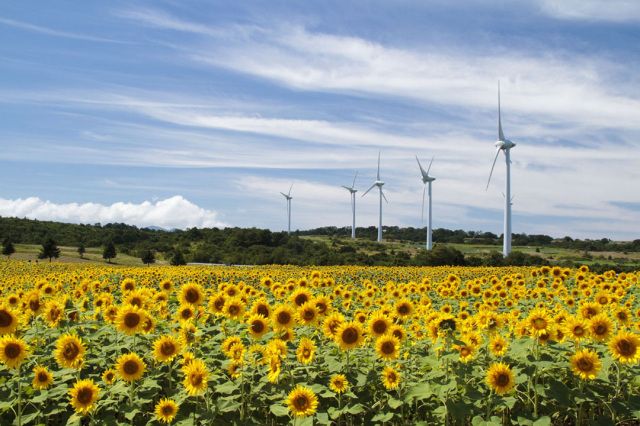 [ Undefined: spot-title-plain ]