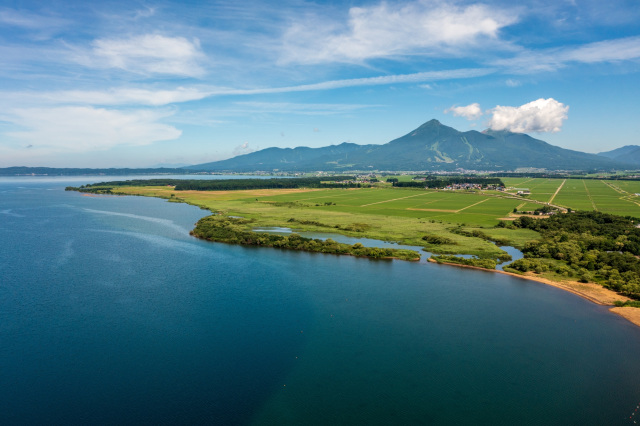 [ Undefined: spot-title-plain ]