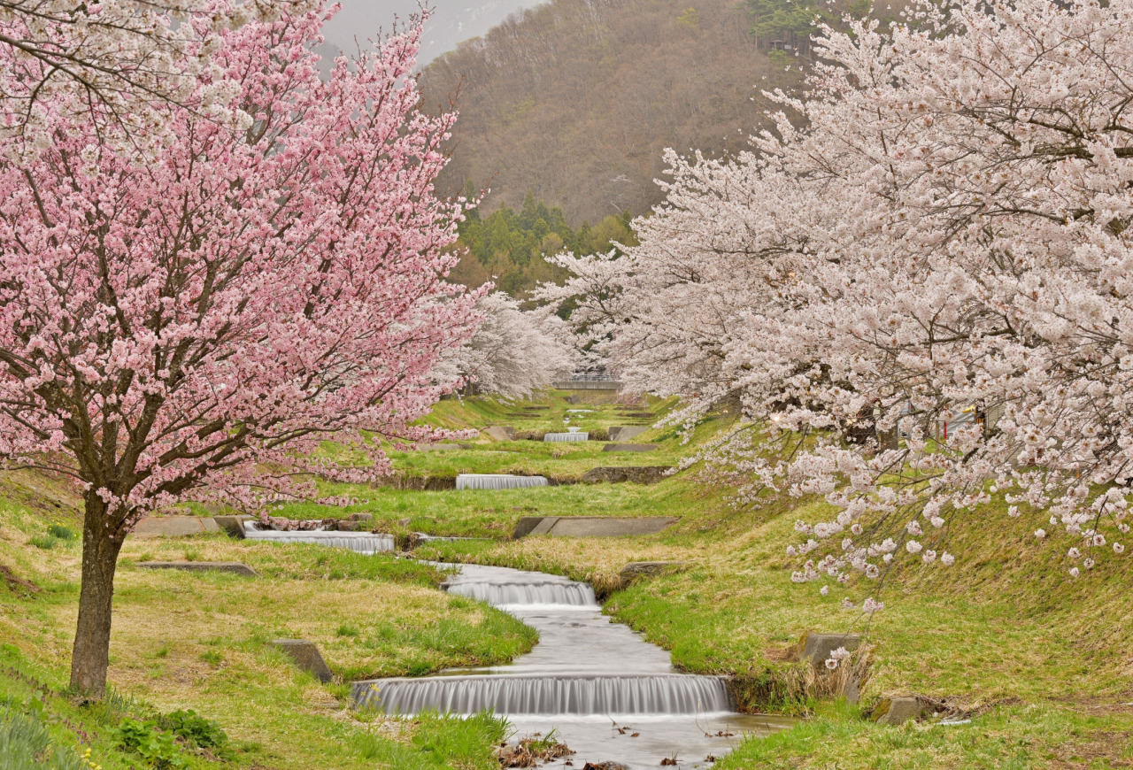 【猪苗代町】猪苗代町民間賃貸住宅家賃補助金