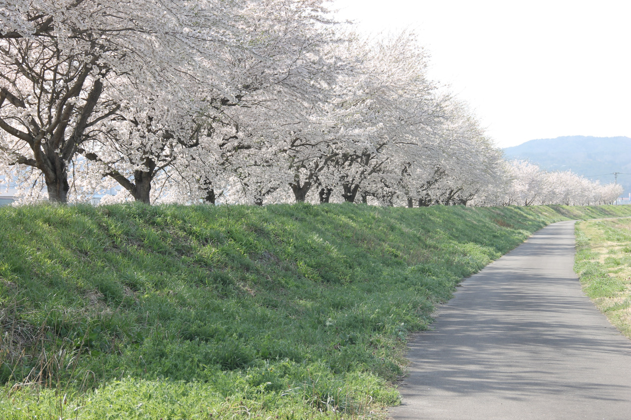 【会津坂下町】地方就職支援金事業