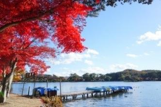 晴れた青空を背景に、左手に赤く紅葉した木とその前に広がる湖、その湖にかかる細い桟橋を撮影した写真