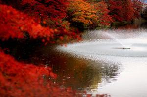 棚倉城のお堀の噴水と、その周りに美しく染まった紅葉が見える光景の写真
