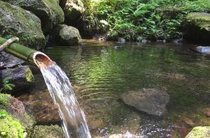自然豊かな泉にきれいな水が斜めに切りぬかれた竹から流れ落ちる写真