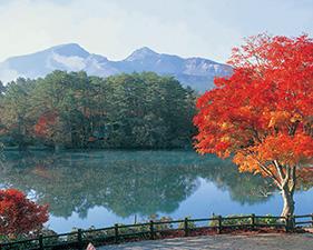 美しい紅葉が咲く木そしてその奥、透き通るような大きな湖の水面に青々とした木々が移り込んだ写真