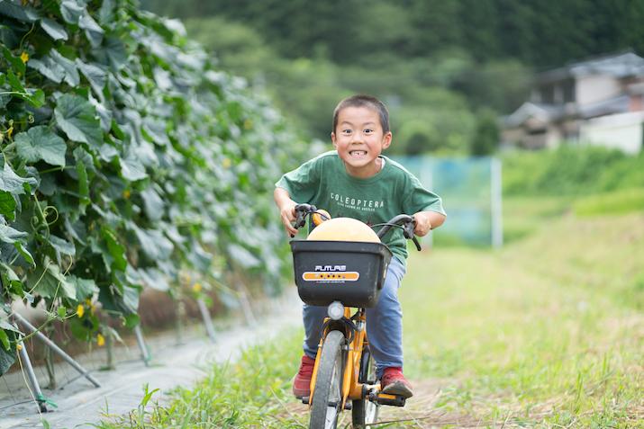 秋山さん家族の子どもの一人が自転車でキュウリ畑の横を走っている様子の写真