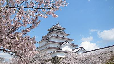 春を感じさせる満開の桜を前面にした鶴ケ城の写真