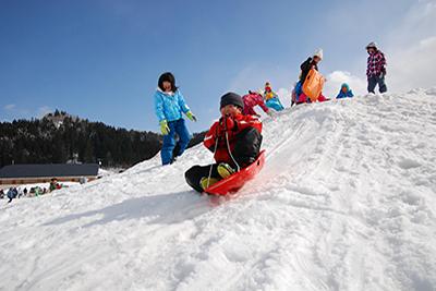 青い空を背景に、複数の子供たちが雪の丘に集まり、そこから一人の子供が赤いソリで笑顔で滑っている写真