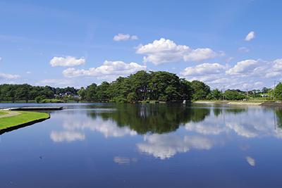 快晴の日の大池公園の写真。目の前には池が広がっており、左手には水上ステージがあり、奥には木々が生い茂っている健康広場が見える。