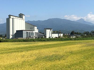 遠方に山脈と青い空を背景に、白い工場の手前で広大で黄色や緑色が混ざり合う稲の田園が広がっている写真