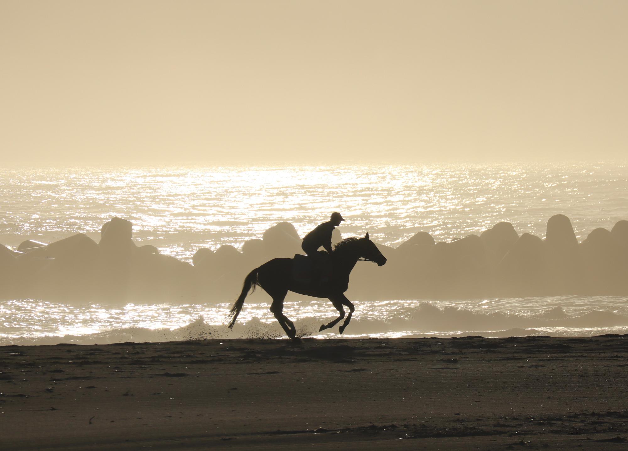 烏崎海岸での錬馬風景